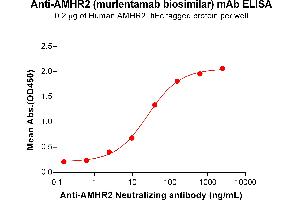 ELISA plate pre-coated by 2 μg/mL (100 μL/well) Human A Protein, hFc Tag (ABIN7092714, ABIN7272246 and ABIN7272247) can bind Anti-A Neutralizing antibody (ABIN7478005 and ABIN7490944) in a linear range of 2. (Recombinant AMHR2 (Murlentamab Biosimilar) anticorps)