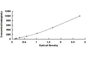 Typical standard curve (LPO Kit ELISA)