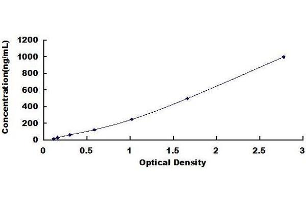 LPO Kit ELISA