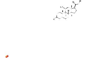 Image no. 3 for Corticosterone (CORT) ELISA Kit (ABIN577656)