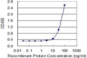 Sandwich ELISA detection sensitivity ranging from 3 ng/mL to 100 ng/mL. (TNFSF13B (Humain) Matched Antibody Pair)