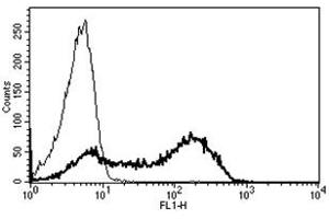 Flow Cytometry (FACS) image for anti-Protein tyrosine Phosphatase, Receptor Type, C (PTPRC) antibody (ABIN1106403) (CD45 anticorps)