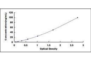 ELISA image for Cystatin C (CST3) ELISA Kit (ABIN6574237)