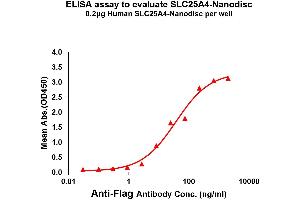 Elisa plates were pre-coated with Flag Tag A4-Nanodisc (0. (SLC25A4 Protéine)