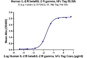 Immobilized Human IL-15RA&IL-15, His Tag at 1 μg/mL (100 μL/well) on the plate. (IL-2 R beta & IL-2 R gamma (AA 27-240) protein (Fc Tag))