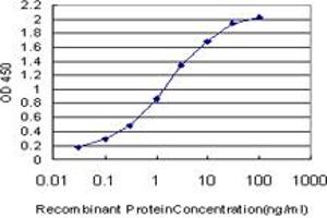 Detection limit for recombinant GST tagged CUTL1 is approximately 0. (CUX1 anticorps  (AA 521-620))