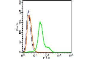 Human 293T cells probed with Claudin 1 Polyclonal Antibody, A488 conjugated (bs-1428R-A488) (green) at 1:100 for 30 minutes compared to unstained cells (blue) and isotype control (orange). (Claudin 1 anticorps  (AA 121-211) (AbBy Fluor® 488))