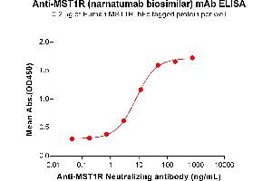 ELISA plate pre-coated by 2 μg/mL (100 μL/well) Human R Protein, hFc Tag (ABIN6964141, ABIN7042561 and ABIN7042562) can bind Anti-R Neutralizing antibody (ABIN7478014 and ABIN7490967) in a linear range of 0. (Recombinant MST1R (Narnatumab Biosimilar) anticorps)