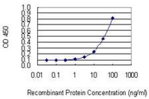 Detection limit for recombinant GST tagged NCSTN is 1 ng/ml as a capture antibody. (Nicastrin anticorps  (AA 16-115))