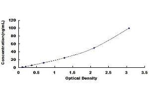 ELISA image for Cartilage Oligomeric Matrix Protein (COMP) ELISA Kit (ABIN1569114) (COMP Kit ELISA)