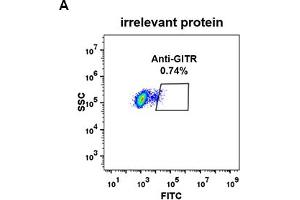 Expi 293 cell line transfected with irrelevant protein  (A) and human GITR  (B) were surface stained with Rabbit anti-GITR monoclonal antibody 1 μg/mL  (clone: DM78) followed by Alexa 488-conjugated anti-rabbit IgG secondary antibody. (TNFRSF18 anticorps  (AA 266-162))