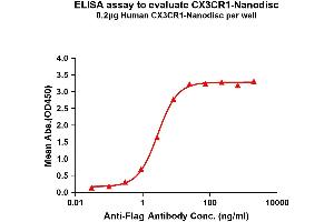 Elisa plates were pre-coated with Flag Tag CX3CR1-Nanodisc (0. (CX3CR1 Protéine)