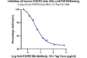 Binding Studies (Bind) image for FGFR2 beta (AA 152-378) protein (His tag) (ABIN7274646)