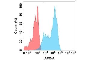 Flow cytometry analysis with Anti-SIG on Expi293 cells transfected with human SIG (Blue histogram) or Expi293 transfected with irrelevant protein (Red histogram). (SIGLEC7 anticorps)