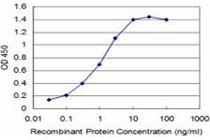 Detection limit for recombinant GST tagged TLX3 is approximately 0. (TLX3 anticorps  (AA 192-291))