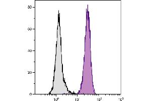 Human peripheral blood granulocytes were stained with Mouse Anti-Human CD11b-BIOT. (CD11b anticorps  (Biotin))