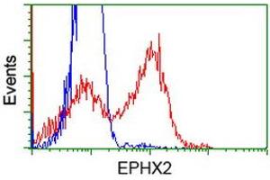 Flow Cytometry (FACS) image for anti-Epoxide Hydrolase 2, Cytoplasmic (EPHX2) antibody (ABIN1500857) (EPHX2 anticorps)