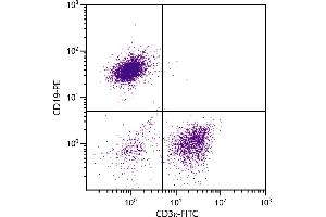 BALB/c mouse splenocytes were stained with Hamster Anti-Mouse CD3ε-FITC. (CD3 epsilon anticorps  (FITC))