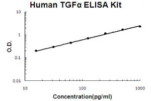 Human TGF alpha Accusignal ELISA Kit Human TGF alpha AccuSignal ELISA Kit standard curve. (TGFA Kit ELISA)