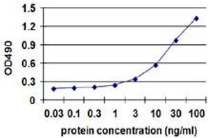 Sandwich ELISA detection sensitivity ranging from 1 ng/ml to 100 ng/ml. (AKR1C2 (Humain) Matched Antibody Pair)