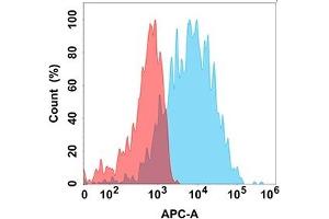 Flow cytometry analysis with Anti-SELP (DM150) on Expi293 cells transfected with human SELP (Blue histogram) or Expi293 transfected with irrelevant protein (Red histogram). (P-Selectin anticorps  (AA 42-771))