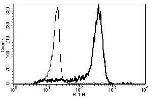 A typical staining pattern with the B-A8 monoclonal antibody of monocytes (CD14 anticorps)