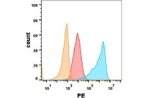 EGFR protein is highly expressed on the surface of Expi293 cell membrane. (EGFR anticorps  (AA 25-645))