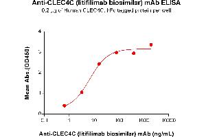 ELISA plate pre-coated by 2 μg/mL (100 μL/well) Human CC Protein, hFc Tag (ABIN7490945 and ABIN7490947) can bind Anti-CC (litifilimab biosimilar) mAb (ABIN7478040 and ABIN7491029) in a linear range of 0. (Recombinant CLEC4C (Litifilimab Biosimilar) anticorps)