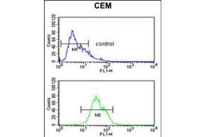 Flow cytometric analysis of CEM cells (bottom histogram) compared to a negative control cell (top histogram). (ITGA5 anticorps  (C-Term))