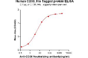 ELISA plate pre-coated by 2 μg/mL (100 μL/well) Human CD30, His tagged protein (ABIN6961166, ABIN7042361 and ABIN7042362) can bind Anti-CD30 Neutralizing antibody ABIN6964430 and ABIN7272566 in a linear range of 0. (TNFRSF8 Protein (AA 19-379) (His tag))