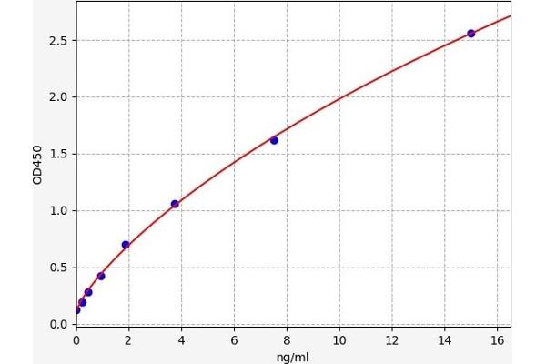 C-Peptide Kit ELISA