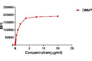 Flow cytometry data of serially titrated Rabbit anti- monoclonal antibody (clone: DM47) on Expi 293 cell line transfected with human . (Recombinant ACE2 anticorps  (AA 18-740))