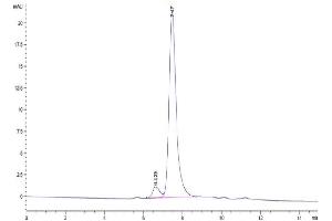 The purity of Biotinylated Rat GARP&Latent TGF Beta 1 Complex is greater than 95 % as determined by SEC-HPLC. (GARP & Latent TGF beta 1 Complex (AA 18-628) protein (His-Avi Tag,Biotin))