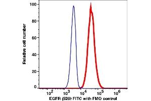 Flow Cytometry (FACS) image for anti-Epidermal Growth Factor Receptor (EGFR) antibody (FITC) (ABIN7077612)