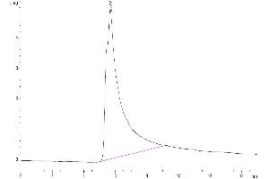 The purity of Human Siglec-2/CD22 is greater than 95 % as determined by SEC-HPLC. (CD22 Protein (AA 20-687) (His tag))