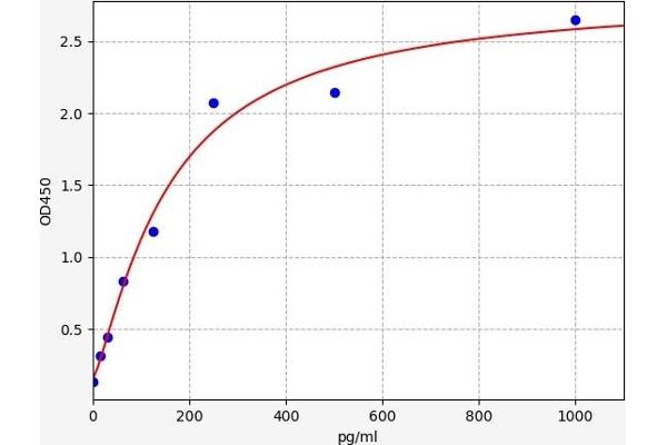 CYR61 Kit ELISA