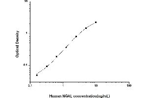 Lipocalin 2 Kit ELISA