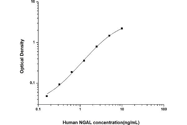 Lipocalin 2 Kit ELISA