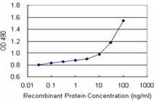 Sandwich ELISA detection sensitivity ranging from 0. (SLC3A2 (Humain) Matched Antibody Pair)