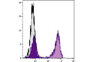 BALB/c mouse splenocytes were stained with Hamster Anti-Mouse CD79b-FITC. (CD79b anticorps)