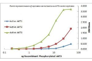 ELISA of Mouse Monoclonal anti-AKT3 antibody. (AKT3 anticorps  (Internal Region) (FITC))