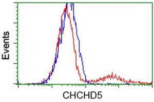 Image no. 2 for anti-Coiled-Coil-Helix-Coiled-Coil-Helix Domain Containing 5 (CHCHD5) antibody (ABIN1497489) (CHCHD5 anticorps)