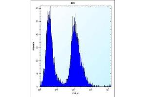 Flow Cytometry (FACS) image for anti-Claudin 2 (CLDN2) antibody (ABIN2996861) (Claudin 2 anticorps)