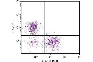 BALB/c mouse splenocytes were stained with Hamster Anti-Mouse CD79b-BIOT. (CD79b anticorps  (Biotin))