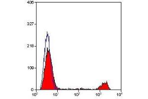 Flow Cytometry (FACS) image for anti-Killer Cell Lectin-Like Receptor Subfamily B, Member 1 (KLRB1) antibody (ABIN2478710) (CD161 anticorps)