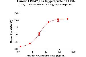 ELISA plate pre-coated by 1 μg/mL (100 μL/well) Human E protein, His Tag (ABIN6964101, ABIN7042457 and ABIN7042458) can bind Anti-E Rabbit mAb in a linear range of 0. (EPH Receptor A2 Protein (EPHA2) (AA 24-534) (His tag))