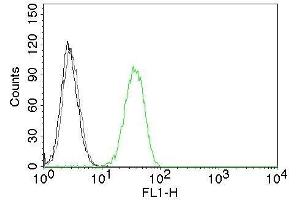 Flow Cytometry of human CD31 on Jurkat cells. (CD31 anticorps  (CF®488A))