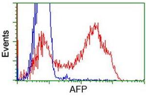 HEK293T cells transfected with either RC206622 overexpress plasmid (Red) or empty vector control plasmid (Blue) were immunostained by anti-AFP antibody (ABIN2452713), and then analyzed by flow cytometry. (alpha Fetoprotein anticorps)