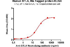 ELISA plate pre-coated by 1 μg/mL (100 μL/well) Human BTLA , His tagged protein (ABIN7092696, ABIN7272196 and ABIN7272197) can bind Anti-BTLA Neutralizing antibody ABIN7093071 and ABIN7272601 in a linear range of 16-80 ng/mL. (BTLA Protein (AA 31-150) (His tag))