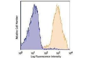 Flow Cytometry (FACS) image for anti-CD90/CD90.1 antibody (APC-Cy7) (ABIN2660713) (CD90/CD90.1 anticorps (APC-Cy7))